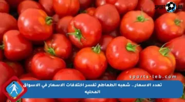 تعدد الأسعار.. شعبة الطماطم تفسر اختلافات الأسعار في الأسواق المحلية